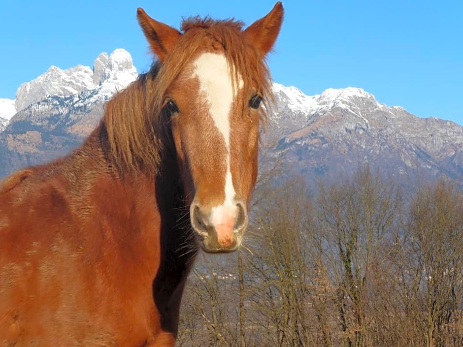 B&B Panorama Dolomiti