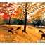 HOTEL PAGODA - Vacation STAY 65048v