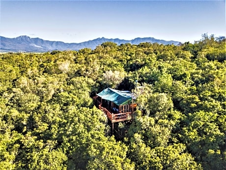 Teniqua Treetops