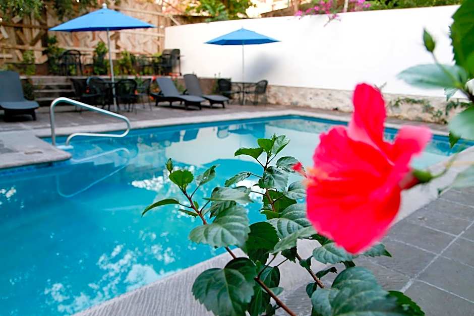 Ceiba Studios