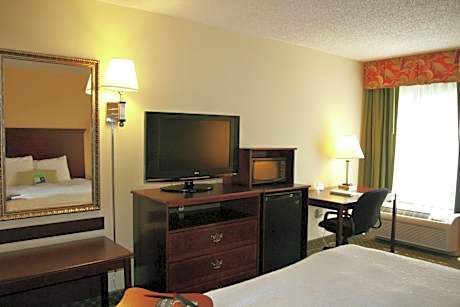 Double Room with Roll-In Shower - Mobility and Hearing Accessible/Non-Smoking