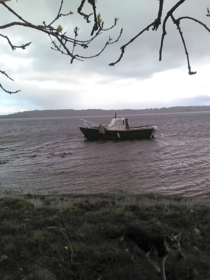 The Little Flock Farm