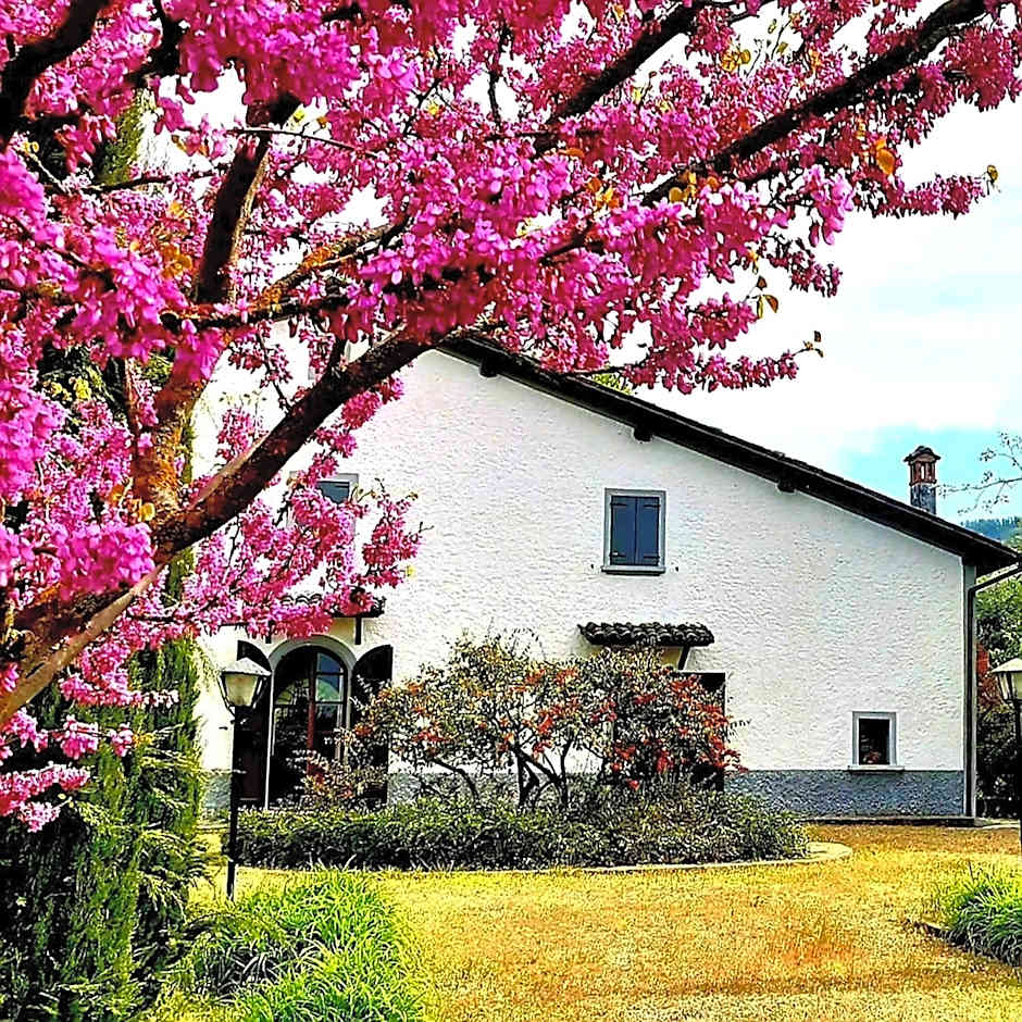 Casa Stella Country House