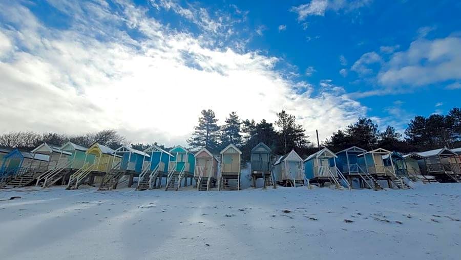 AnchorageWells Entire Cottage OR a King Ensuite on Room Only