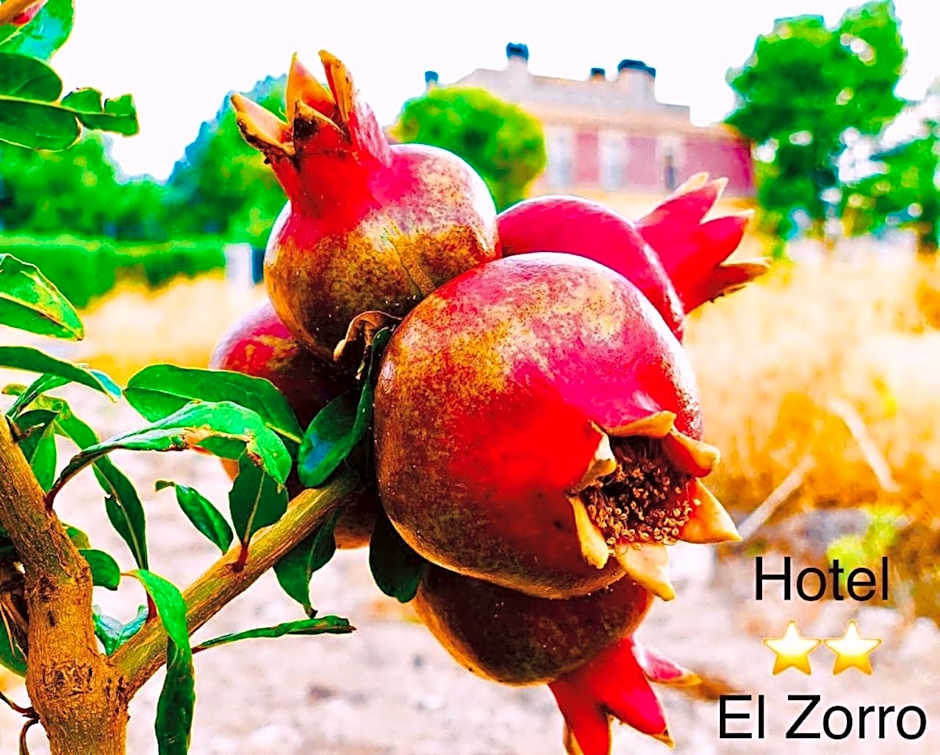 Hotel El Zorro