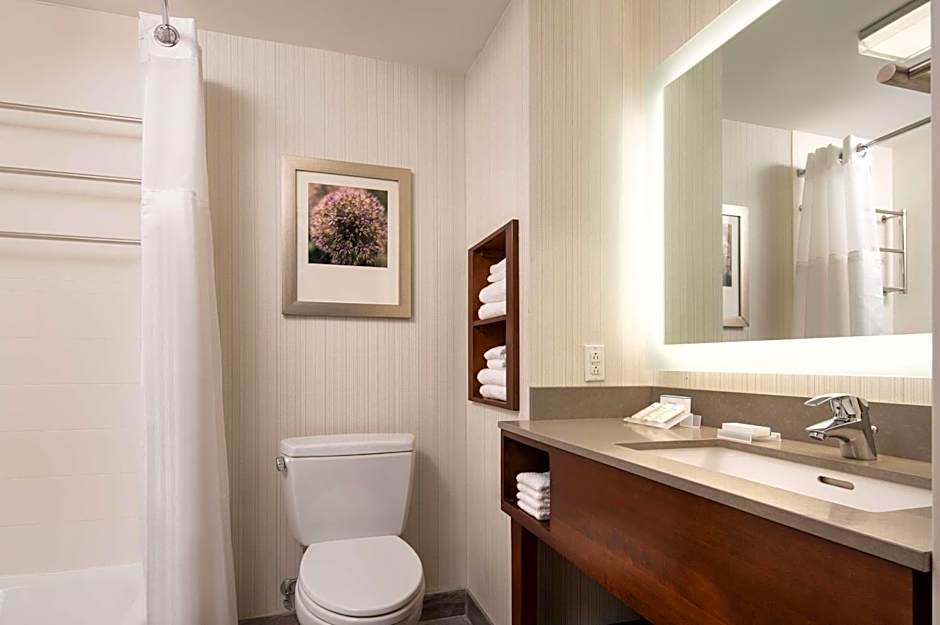 Hilton Garden Inn Long Island City New York
