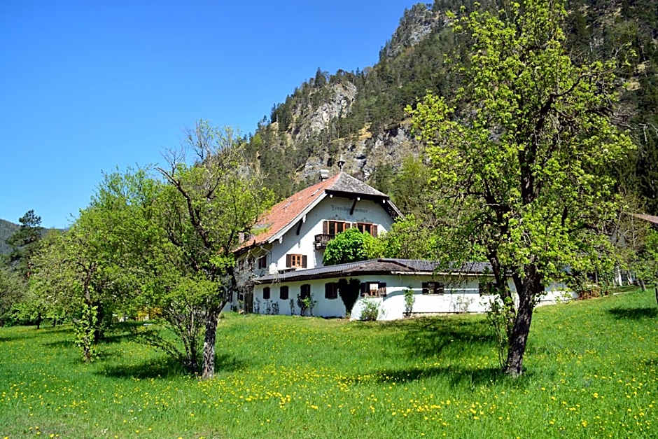 Pension Almhof Baumgarten