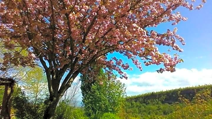 Il Casale di Aquarubra