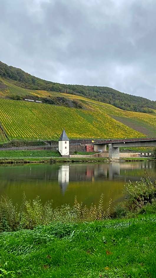 Hotel Krone Riesling