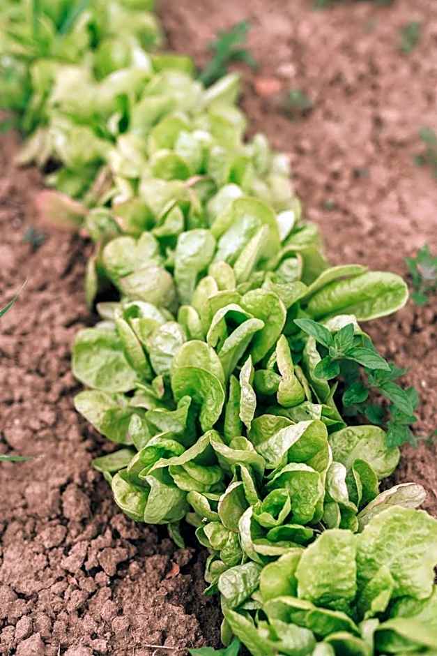 Matild Country Hotel