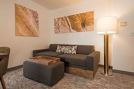 Studio, 1 King, Sofa bed, Whirlpool (Mobility Accessible w/ Tub)