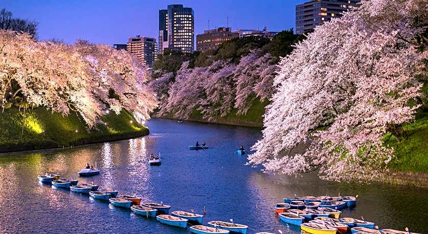 APA Hotel Iidabashi-Ekimae