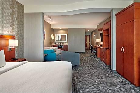 Studio Suite, 1 King Bed with Sofa bed (1 King Bed and 1 Double Sofa Bed)