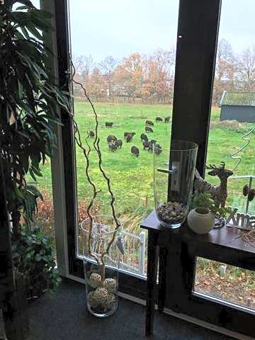 Boutique Hotel en B&B De Zwammenberg