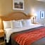 Quality Inn & Suites Malvern