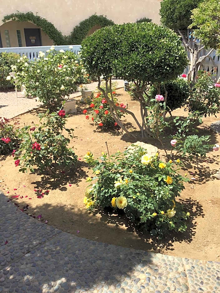 Americas Best Value Inn & Suites Joshua Tree National Park