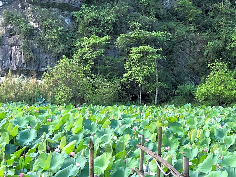 Trang An River View Homestay