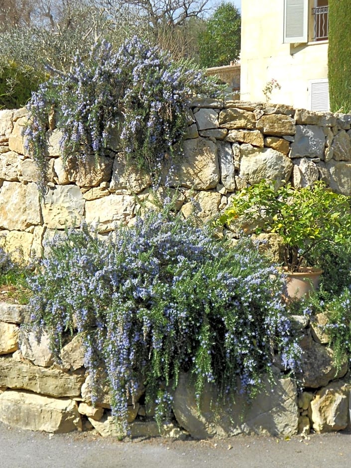 Le Mas De Frayère – Le Rouret, CT