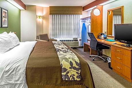 1 King Bed, Nonsmoking