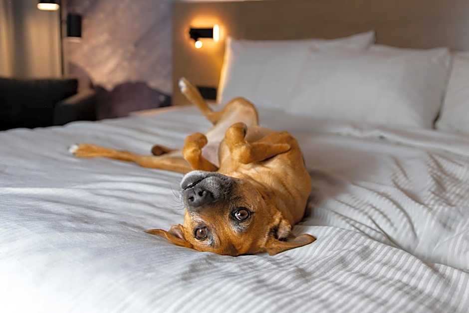 Best Western Plus City/Centre/Centre-Ville