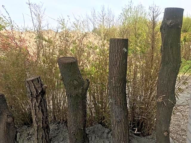 Luxe prive-kamer - studio in villa aan zee, Dishoek, vernieuwd