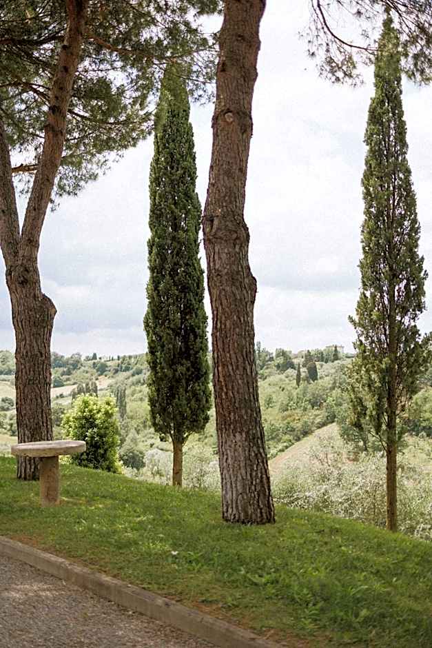 Villa Delia Hotel and Cooking School
