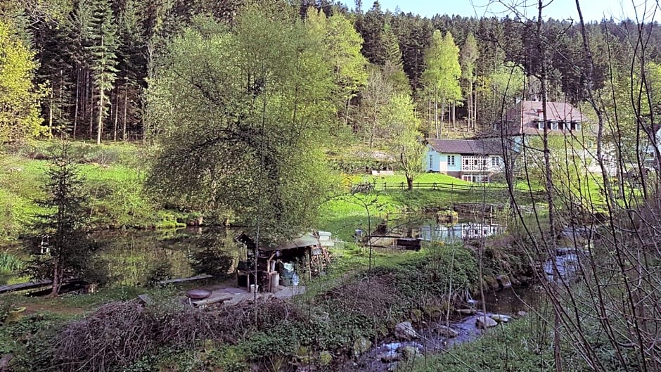 Gut Lauterbad Hotel