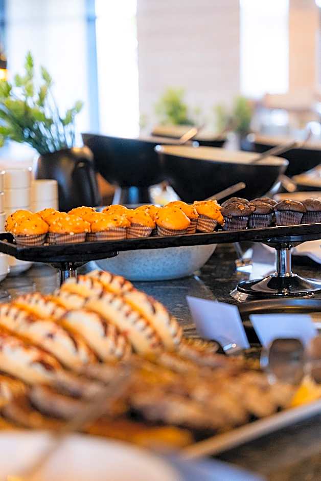Premier Sofia Airport Hotel
