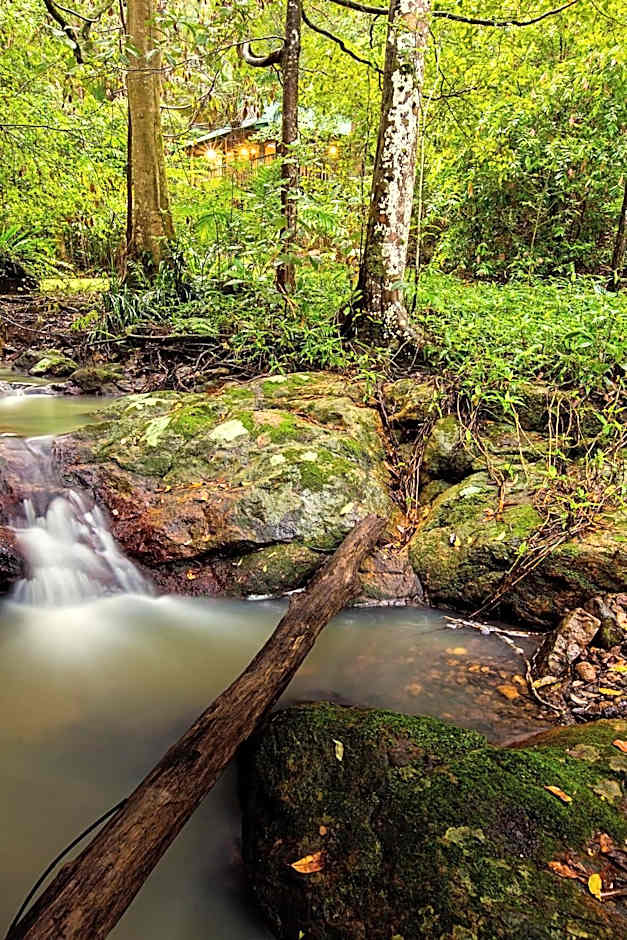 Narrows Escape Rainforest Retreat