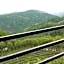101 Tea Green View