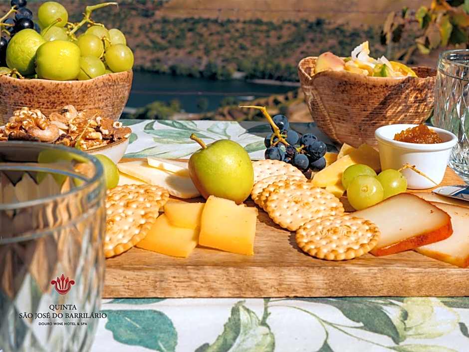 Barrilario Douro Wine Hotel e Spa - Quinta São Jose do Barrilario