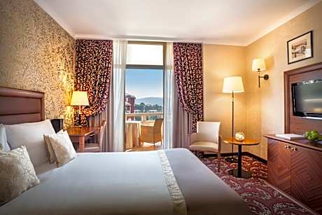 Standard double room with park view