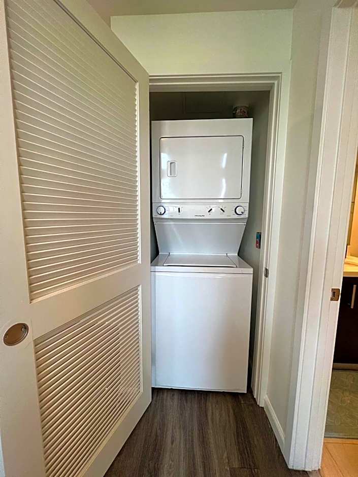 Downtown Los Angeles Skyline balcony view Modern Penthouse