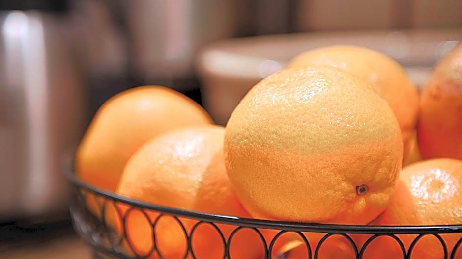 SureStay Plus Hotel by Best Western Sacramento Cal Expo