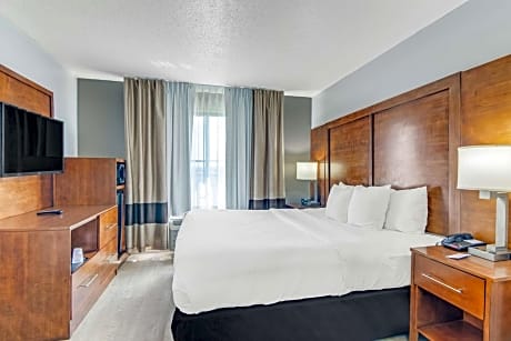 1 King Bed, Suite, Nonsmoking