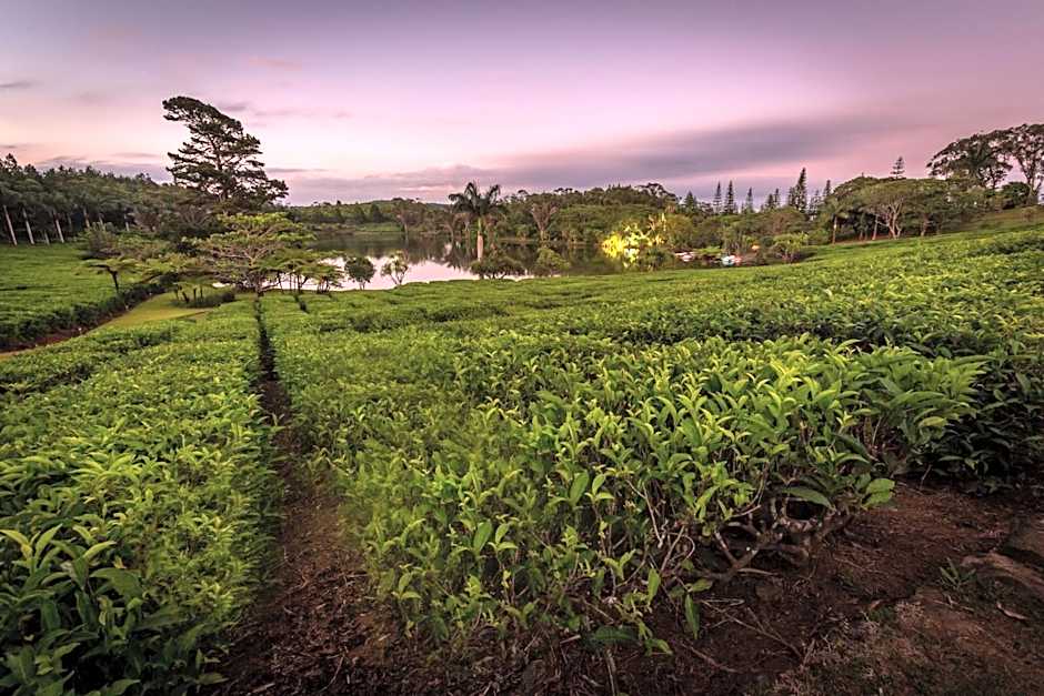 Bubble Lodge Bois Chéri Plantation