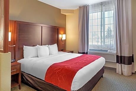 1 King Bed, Suite, Nonsmoking, Accessible