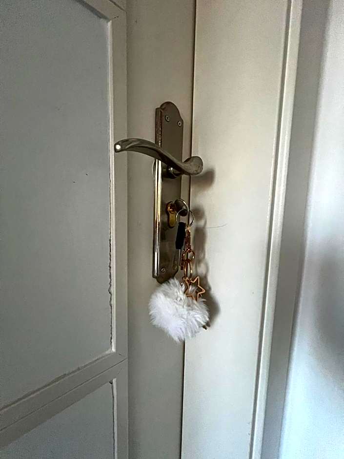 Private Double Room in a Shared Penthouse with Patios