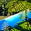 Days At Sea Beach Lodge