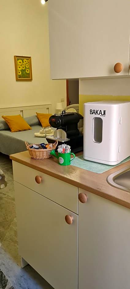 le ginestre in centro