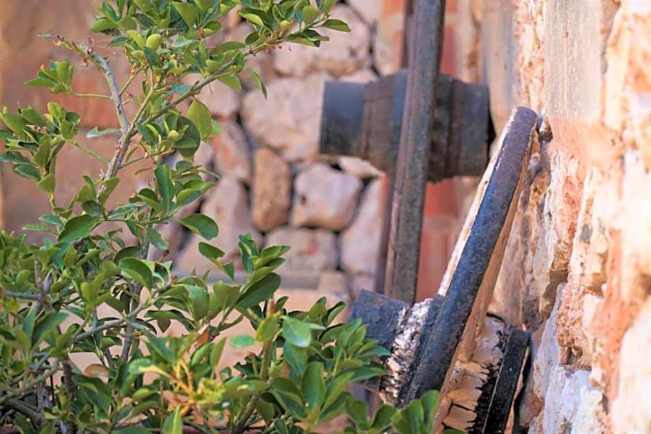 Agroturismo Finca Sa Tanca