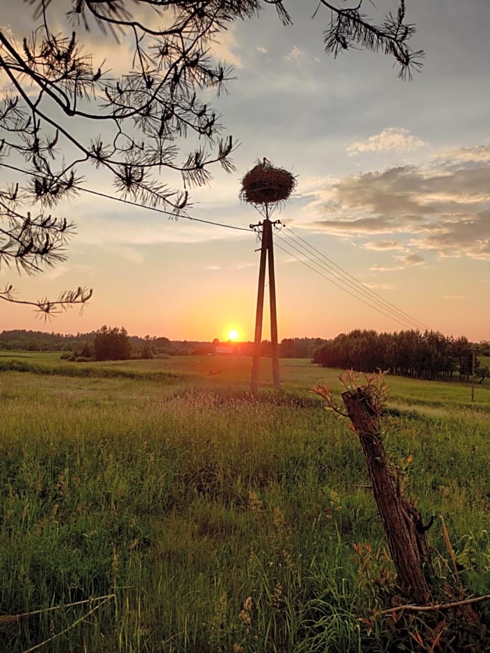 Pod bocianim gniazdem
