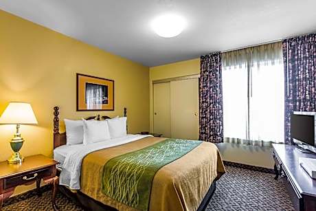 1 King Bed Suite - Non-Smoking