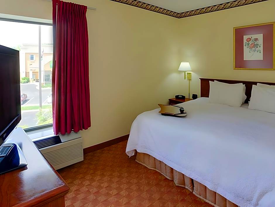 Photo 1 of 4 of 1 Bedroom 1 King Bed Suite, Mobility Accessible, Bathtub