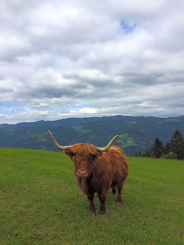 Frühstückspension Ochnerbauer