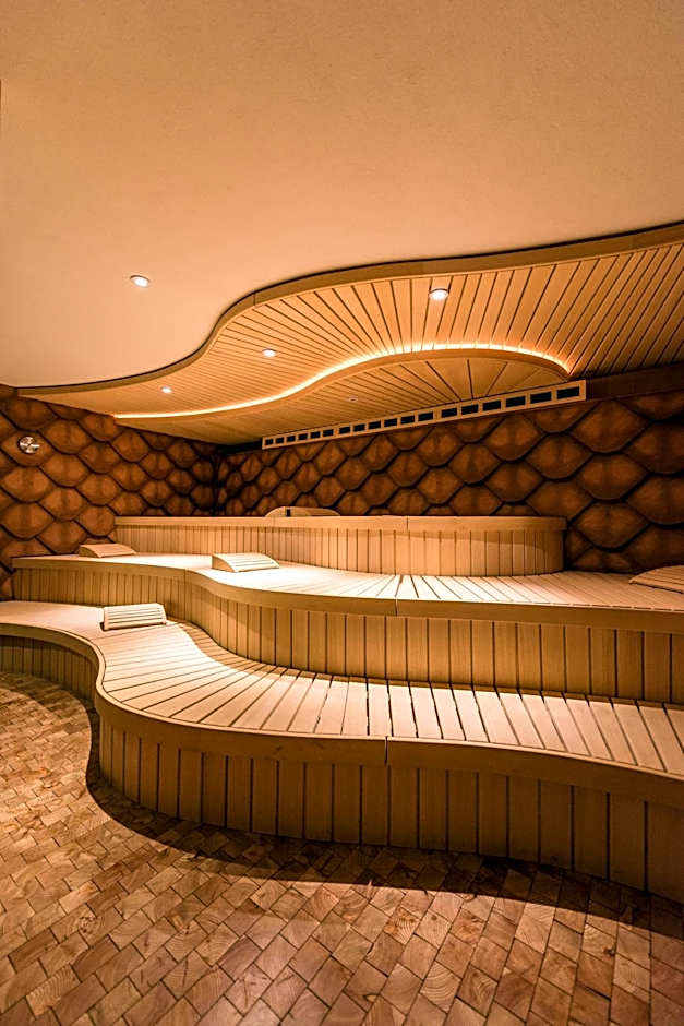 Nendaz 4 Vallées & SPA