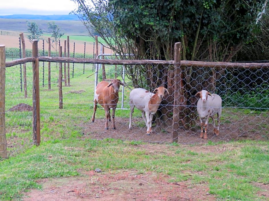 Dunroamin Bed and Breakfast