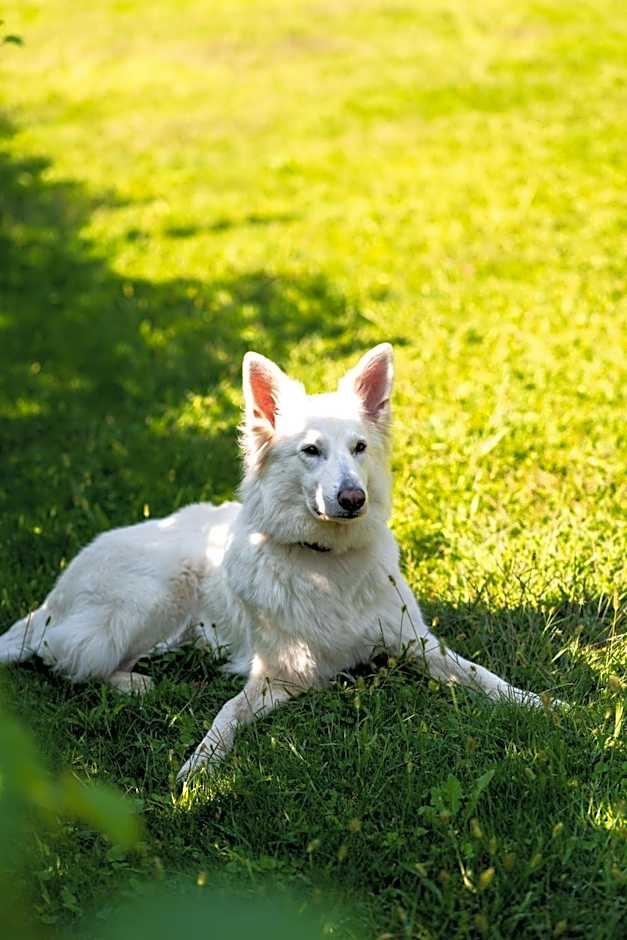 Residence Der Heinrichshof