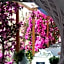 Doron Hotel Delfini