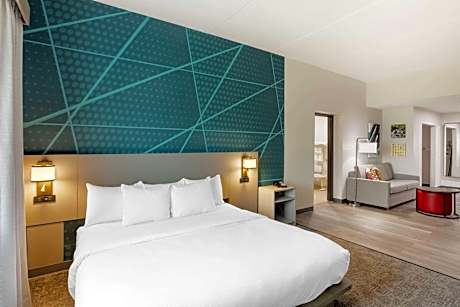 King Suite with Roll-in-Shower - Accessible/Non-Smoking
